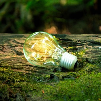 Cléor et son investissement environnemental